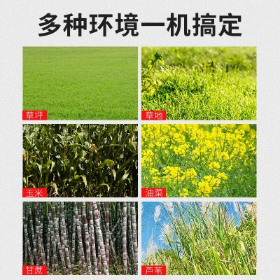 无线无刷锂电充电式电动割草机背负园林打草农用家用果园除草机图3