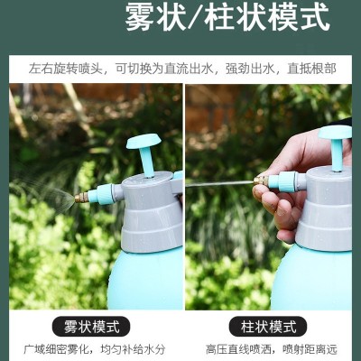 红星2L浇花消毒洗车喷水壶 花园浇灌小喷壶 气压式手动喷雾器图3