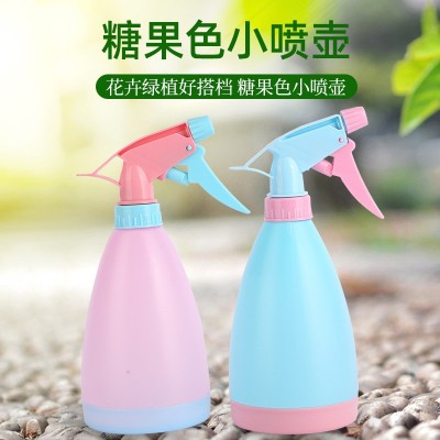 厂家批发500ml瓜形小喷壶家用浇花清洁喷壶气压式喷水壶喷雾器图2