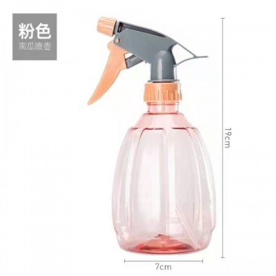 厂家批发500ml瓜形小喷壶家用浇花清洁喷壶气压式喷水壶喷雾器