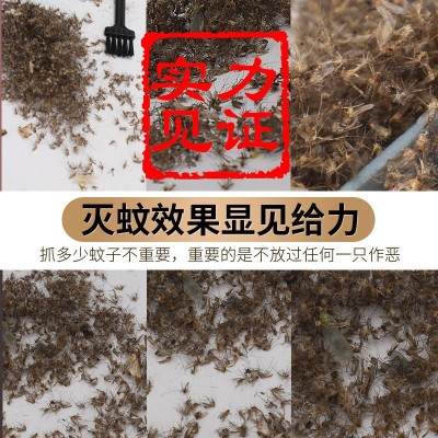 2024跨境爆款灭蚊灯家用母婴室内驱蚊器usb户外便携式电击灭蚊器图2