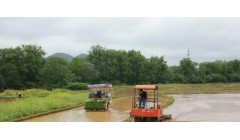 东安：田间春插忙 农机提效率