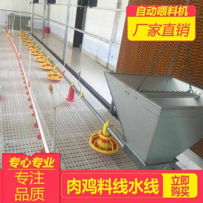 四川自动化喂料养鸭设备养殖场养鸡全套料线水线肉鸡自动喂料机图3