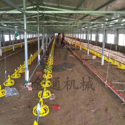 四川自动化喂料养鸭设备养殖场养鸡全套料线水线肉鸡自动喂料机图5