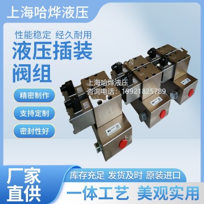 供应各种液压插装阀组 上海哈烨液压图5