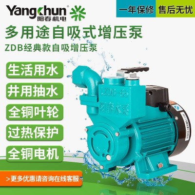 阳春自吸泵家用增压泵220V自来水管道加压泵小型抽水泵旋涡高压泵图5