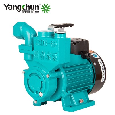 阳春自吸泵家用增压泵220V自来水管道加压泵小型抽水泵旋涡高压泵图4