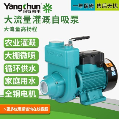 阳春水泵 单相三相大流量离心清水自吸泵 农用浇灌设备配套增压泵图5