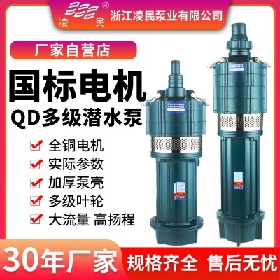 QD多级抽水泵家用220v清水泵高扬程小老鼠水泵高压农用灌溉潜水泵图4