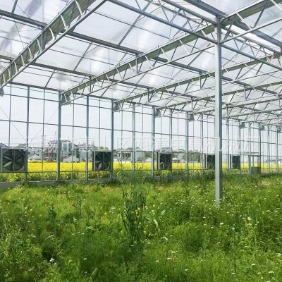玻璃温室大棚骨架 蔬菜花卉大棚 农业玻璃骨架智能大棚 厂家供应图3