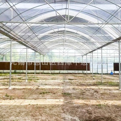 连栋薄膜温室大棚 连体温室外遮阳连栋棚温室大棚工程 厂家供应图4