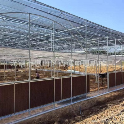 连栋薄膜温室大棚 连体温室外遮阳连栋棚温室大棚工程 厂家供应图3