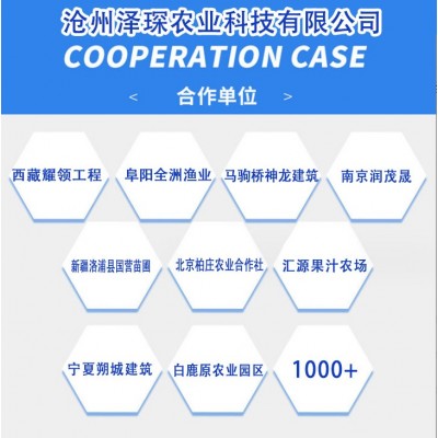 连栋温室薄膜大棚 农业种植蔬菜遮阳遮阴棚 连体温室大棚图3