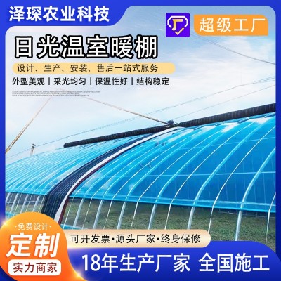 日光温室蔬菜大棚 蔬菜种植镀锌钢管椭暖棚 骨架圆管养殖 温室大棚图5