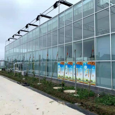 智能玻璃温室阳光板温室农业种植观光餐厅采摘园连栋玻璃 大棚安装图3