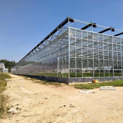 温室大棚玻璃温室农业蔬菜养殖棚遮阳玻璃大棚花卉育苗种植大棚