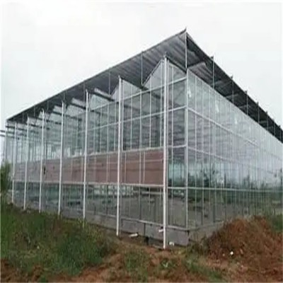 温室大棚玻璃温室农业蔬菜养殖棚遮阳玻璃大棚花卉育苗种植大棚图3