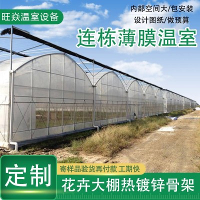 花卉大棚蔬菜大棚骨架 连栋薄膜温室大棚钢骨架加工大棚 配件安装图5