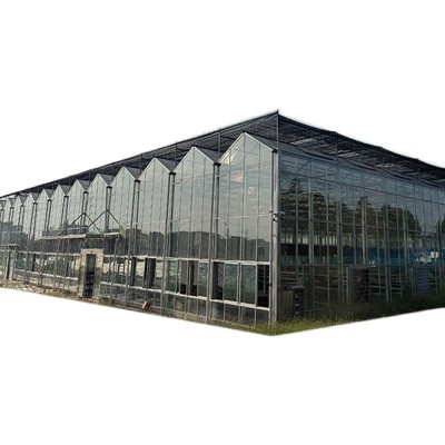 玻璃温室大棚暖棚可种植蔬菜养殖农业观光阳光房智能温室大棚防晒图2