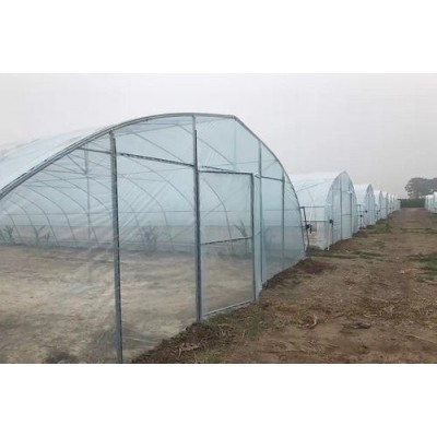 农作物种植棚单体大棚日光温室花卉暖棚单体连体花卉大棚观光温室图3