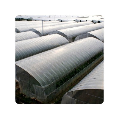 农作物种植棚单体大棚日光温室花卉暖棚单体连体花卉大棚观光温室