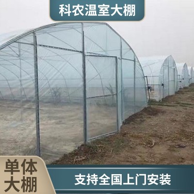 农作物种植棚单体大棚日光温室花卉暖棚单体连体花卉大棚观光温室图5