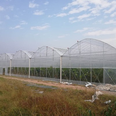 连栋温室大棚蔬菜水果花卉暖棚养植栽培钢架农业遮阳遮阴大棚安装图2