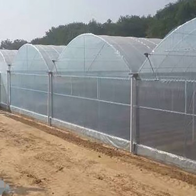 连栋温室大棚蔬菜水果花卉暖棚养植栽培钢架农业遮阳遮阴大棚安装图3