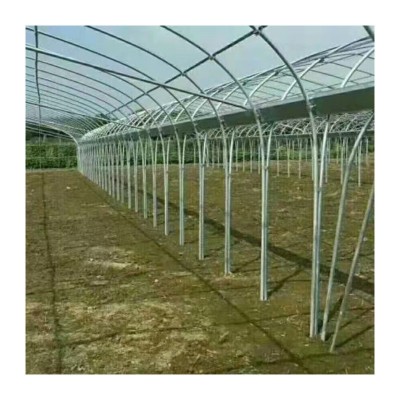 简易单体拱棚蔬菜大棚骨架加工保温大棚花卉种植大棚椭圆图2