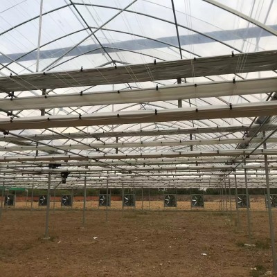 简易单体拱棚蔬菜大棚骨架加工保温大棚花卉种植大棚椭圆图4