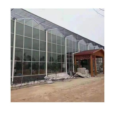 养殖单体大棚 连栋钢架骨架养殖大棚建造 玻璃温室大棚