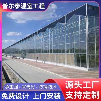厂家生产玻璃温室大棚智能玻璃温室大棚生态观光玻璃温室大棚图5