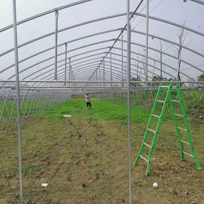 外遮阳薄膜温室大棚 连栋蔬菜养殖温室大棚建造 热镀锌管骨架大棚图4