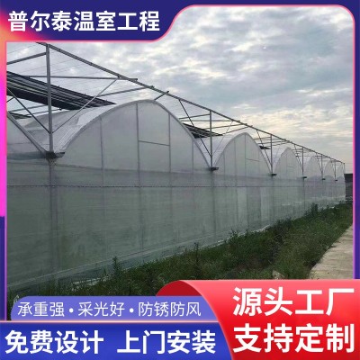 外遮阳薄膜温室大棚 连栋蔬菜养殖温室大棚建造 热镀锌管骨架大棚图5