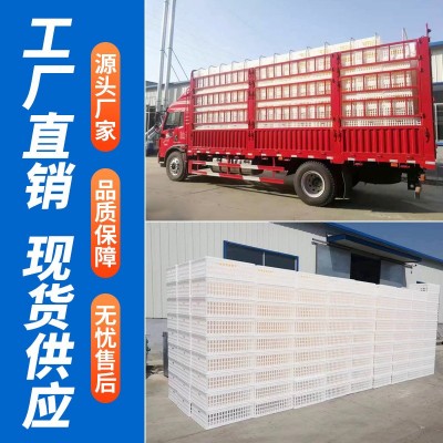鸡笼 塑料鸡笼 鸡笼周转箱加厚大号熟料鸡鸭鹅兔家禽运输笼图3