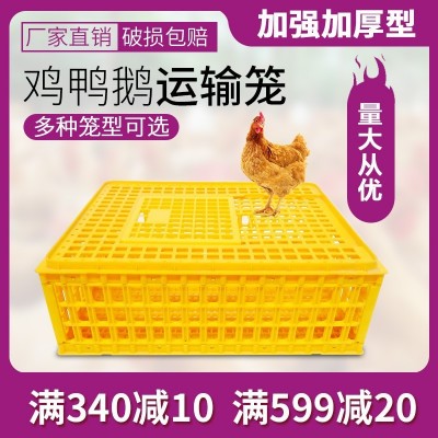 鸡笼塑料周转箱 鸡笼子运输家用特大号养殖鸭筐 加厚胶框成兔鸽鹅图4