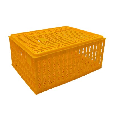 鸡笼周转箱 鸡笼子运输养殖塑料家用大号特大筐 成鸡鸭鹅鸽子家禽