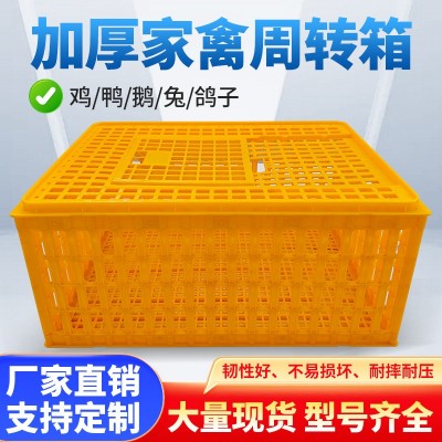 鸡笼周转箱 鸡笼子运输养殖塑料家用大号特大筐 成鸡鸭鹅鸽子家禽图4