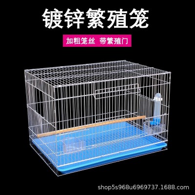 电镀镀锌鹦鹉繁殖笼鸟笼大号加粗虎皮八哥玄凤带繁殖口鸟笼子批发图5