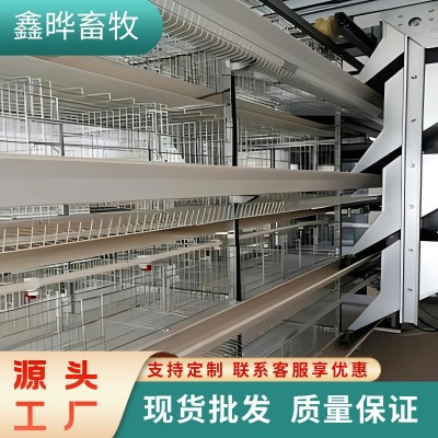 层叠式肉鸡笼 养殖场专用鸡笼鸡舍鹅鸭全自动养鸡设备立体肉鸡笼图2