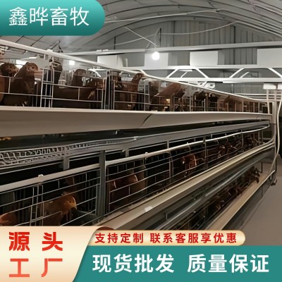 层叠式肉鸡笼 养殖场专用鸡笼鸡舍鹅鸭全自动养鸡设备立体肉鸡笼图5
