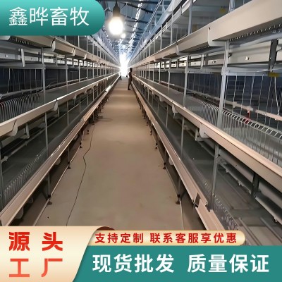 层叠式肉鸡笼 养殖场专用鸡笼鸡舍鹅鸭全自动养鸡设备立体肉鸡笼图4