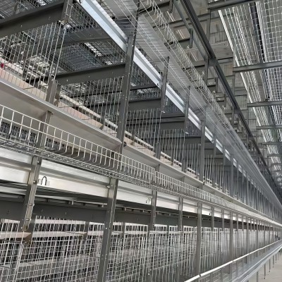 层叠式肉鸡笼 养殖场专用鸡笼鸡舍鹅鸭全自动养鸡设备立体肉鸡笼图3