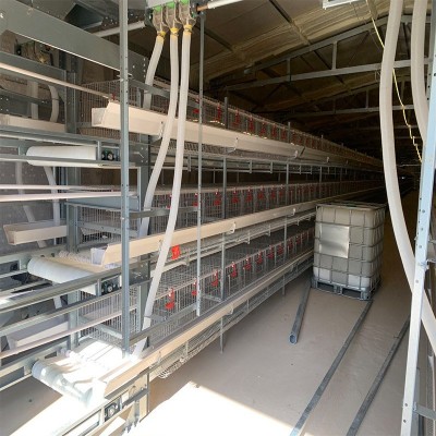 源头厂家生产框架肉鸡笼框架蛋鸡笼框架蛋鸭笼框架笼具图3