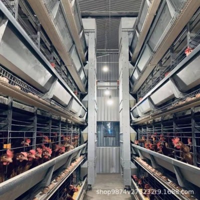 机械化养鸡设备 养鸡场设备清单 饲料自动喂料机供应饲喂设备图5