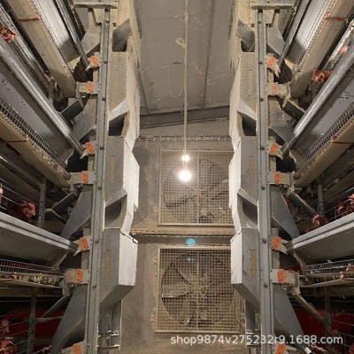 机械化养鸡设备 养鸡场设备清单 饲料自动喂料机供应饲喂设备图4
