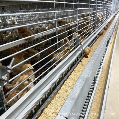 养鸡大棚 一万只蛋鸡自动化立式养鸡设备蛋鸡笼养殖机械图3