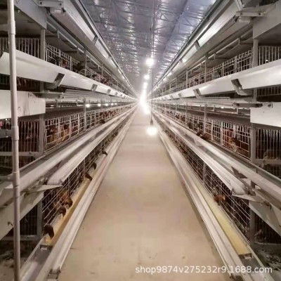 养鸡大棚 一万只蛋鸡自动化立式养鸡设备蛋鸡笼养殖机械图4