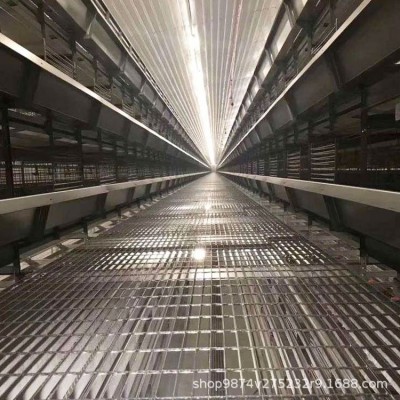 现代化养鸡设备 养鸡笼子宏伟自动化养殖机械多层鸡舍图4
