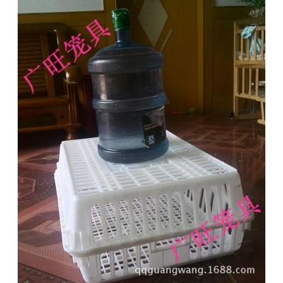 运输周转笼 鸡用运输笼 鸡用周转箱 运输鸡笼 运输鸭笼 兔笼 鸽笼图5